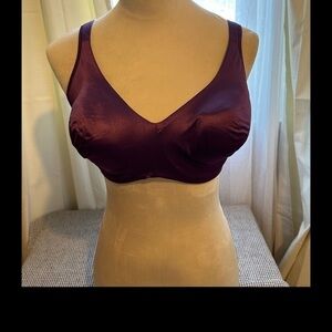 VICTORIAS SECRET BRAND SIZE 36 DD UNDER WIRE NWT